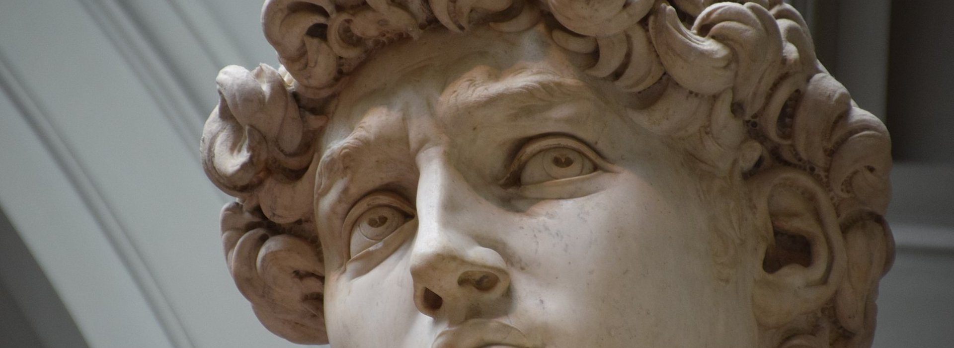 Visita guidata al David di Michelangelo alla Galleria dell'Accademia di Firenze