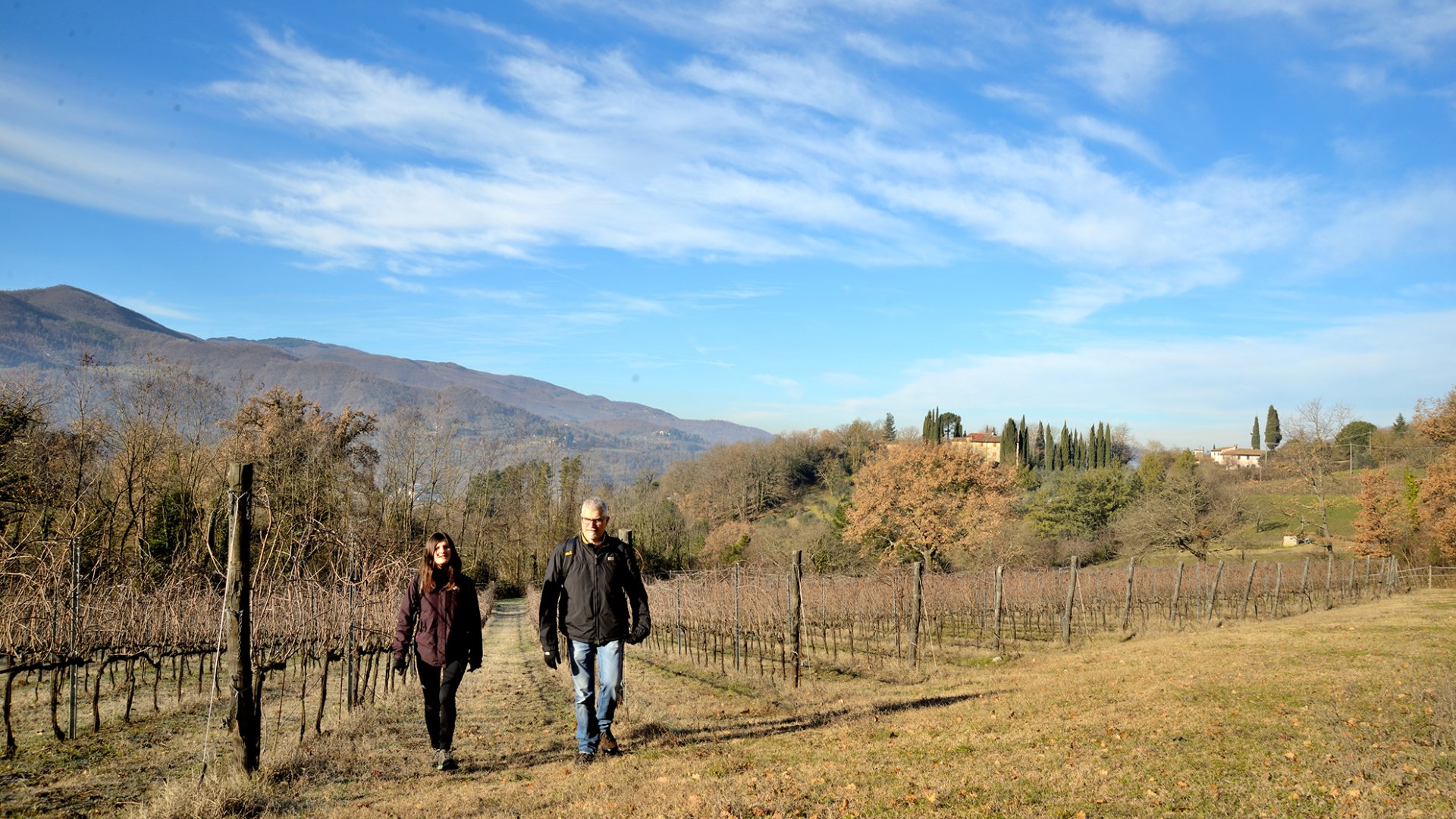 Trekking in Mugello guided by Mugellove and visit to a winery with wine tasting