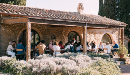 Tour delle Cantine in Chianti Sightseeing Experience