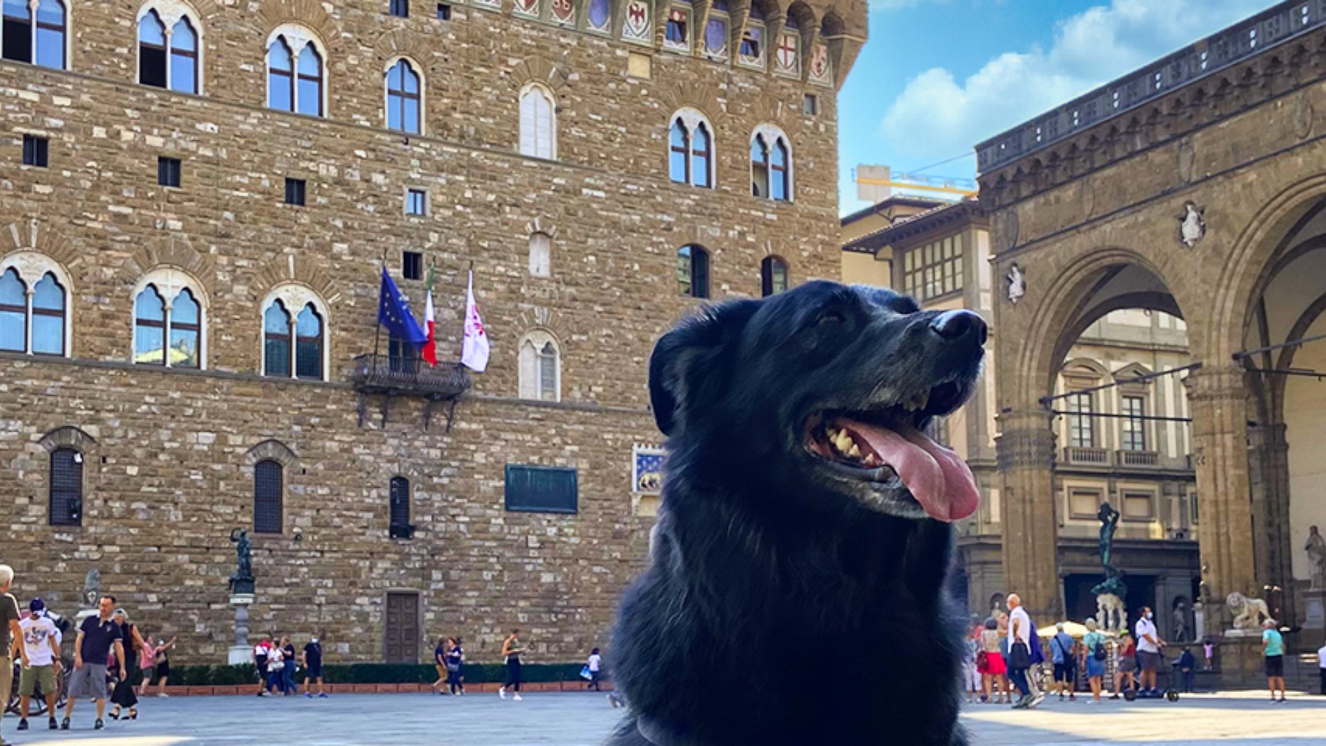 3 Tage Florenz in Begleitung mit Ihrem Hund