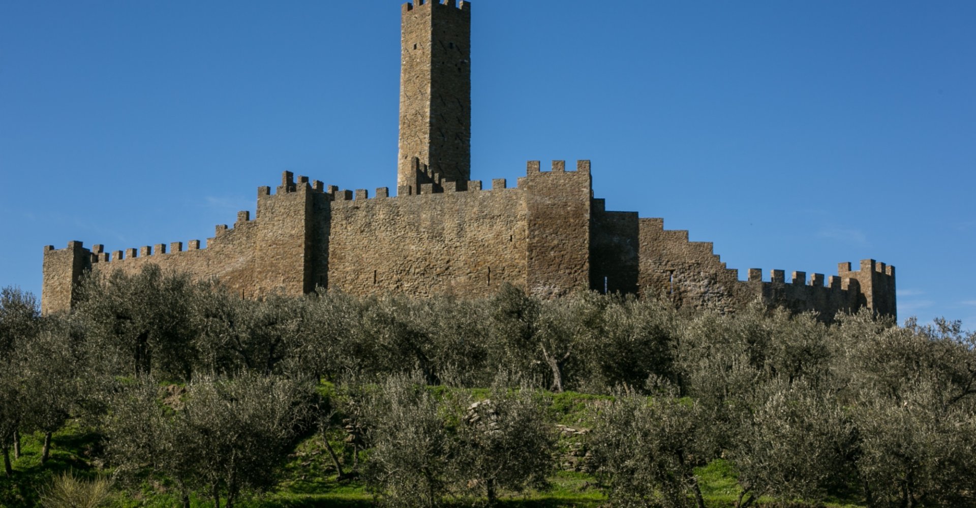 Castillo de Montecchio Vesponi