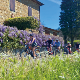 Guided e-bike tour in Chianti Rufina, a stone’s throw from Florence