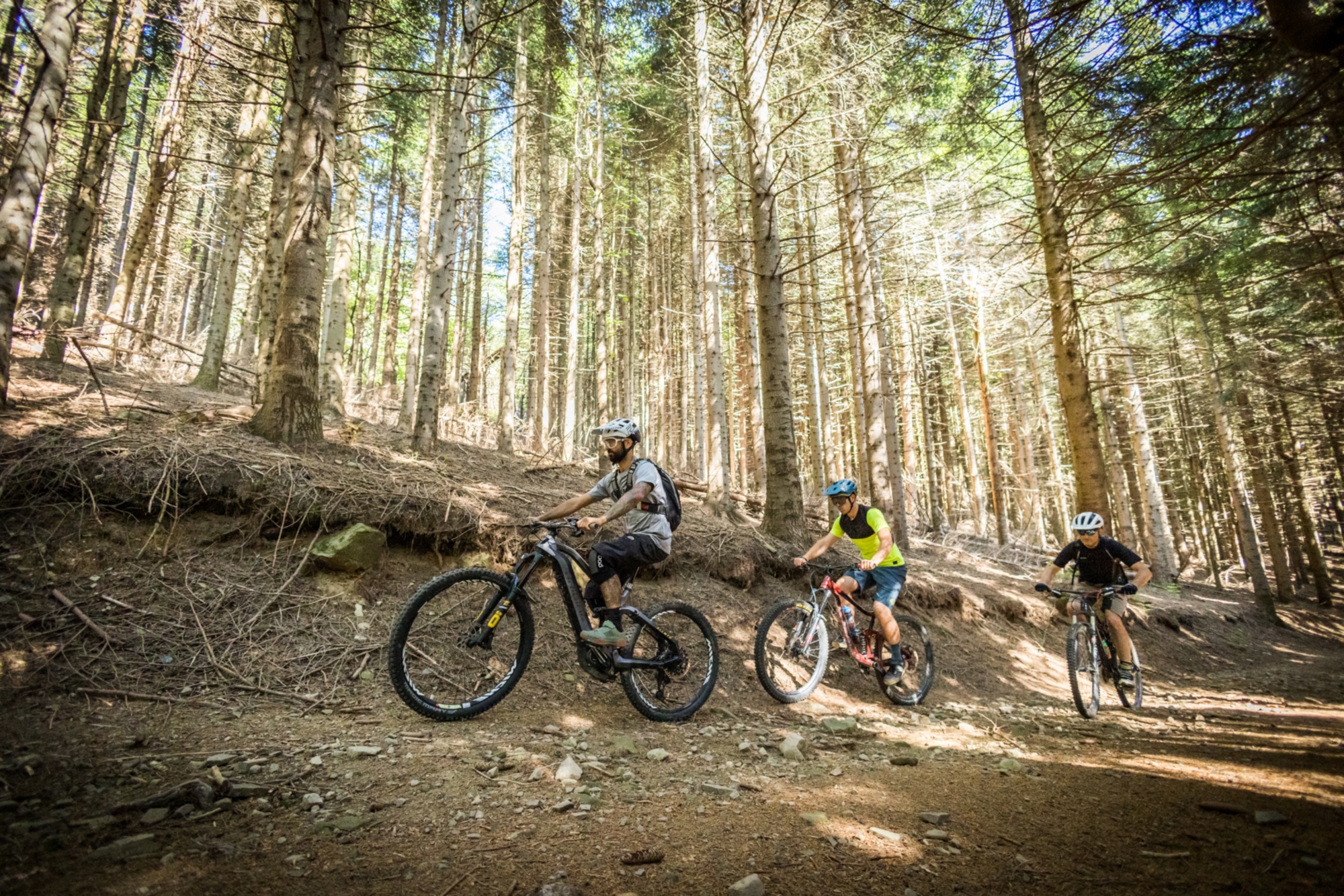 MTB in the Brattello Forest