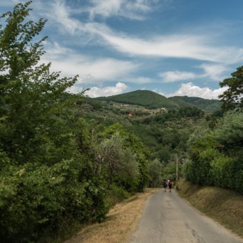 Passeggiata enogastronomica a Monsummano Terme