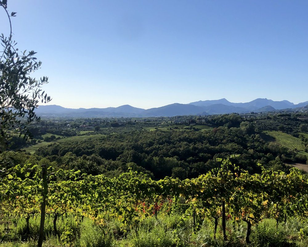 panorama des collines de Lucques - r.giomi