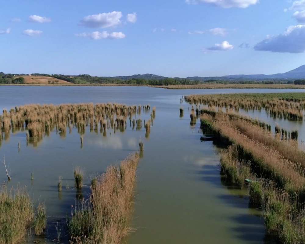 Riserva naturale del lago di Montepulciano