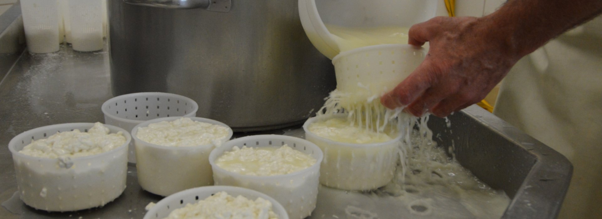 Cheese Making in a Farmhouse around Pienza