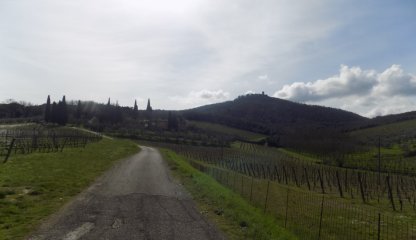 Un trekking di 14 km sulle colline nei dintorni di Motevarchi alla scoperta dello scambio libri tra Rendola e San Leolino