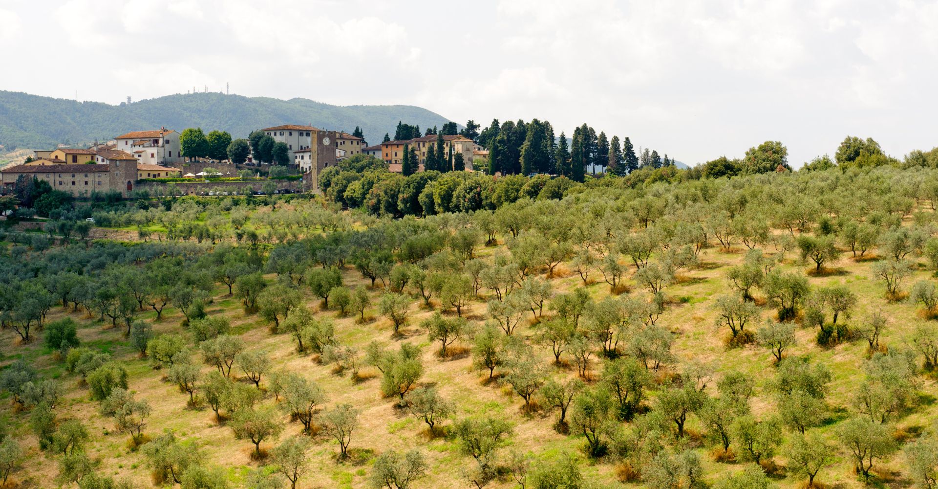 hills-in-tuscany-near-artimino
