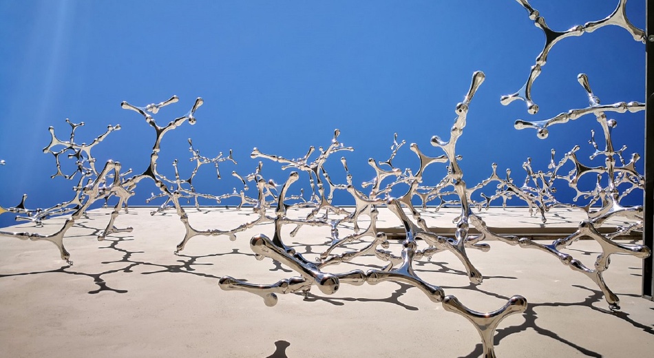 « Waterbones Climbing in Transition State » de Loris Cecchini