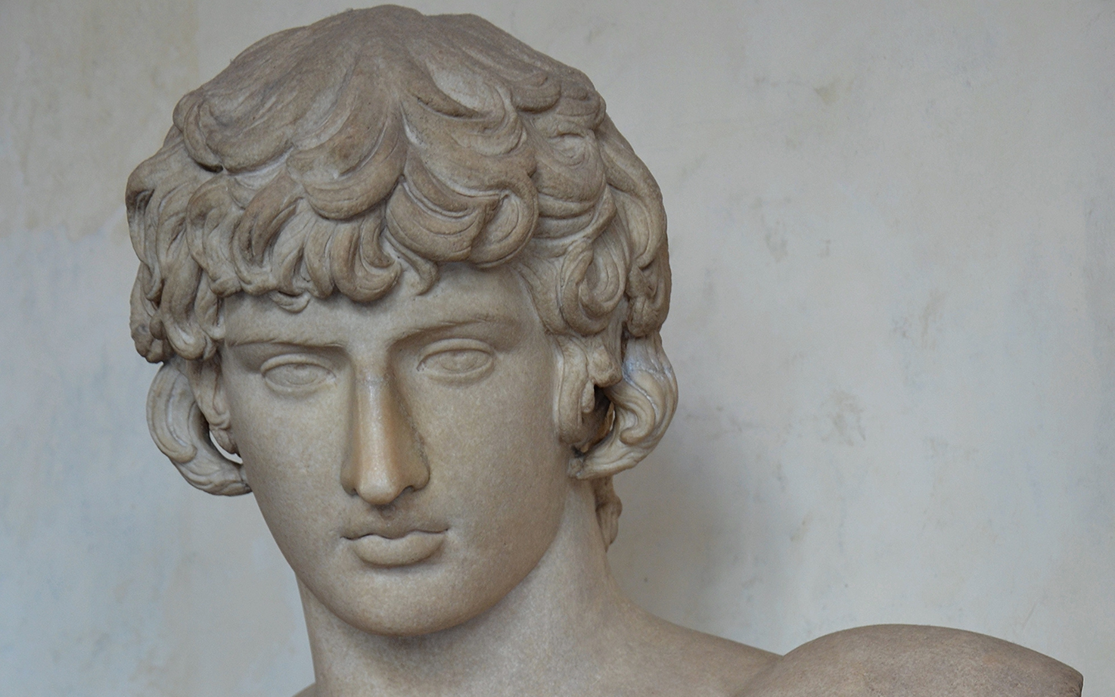 Detail of the bust of Antinous