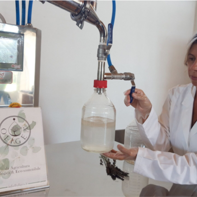Laboratorio di distillazione essenze naturali a Massarosa