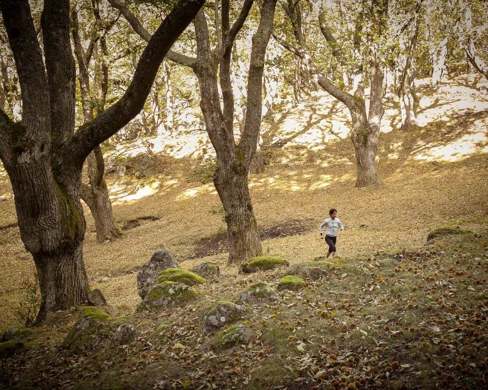 Running dans la forêt de hêtres du Mont Amiata