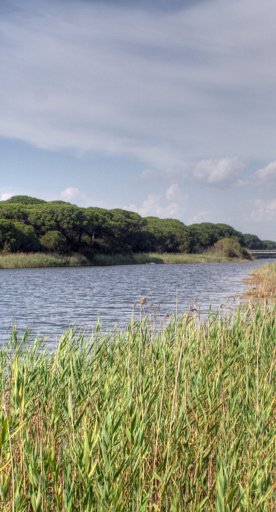 Canal de San Leopoldo