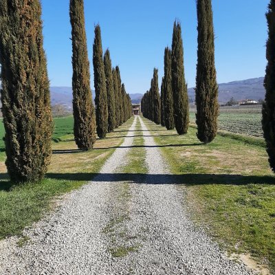 Explore on foot the Via Romeo Germanica, from La Verna to Castiglion del Lago