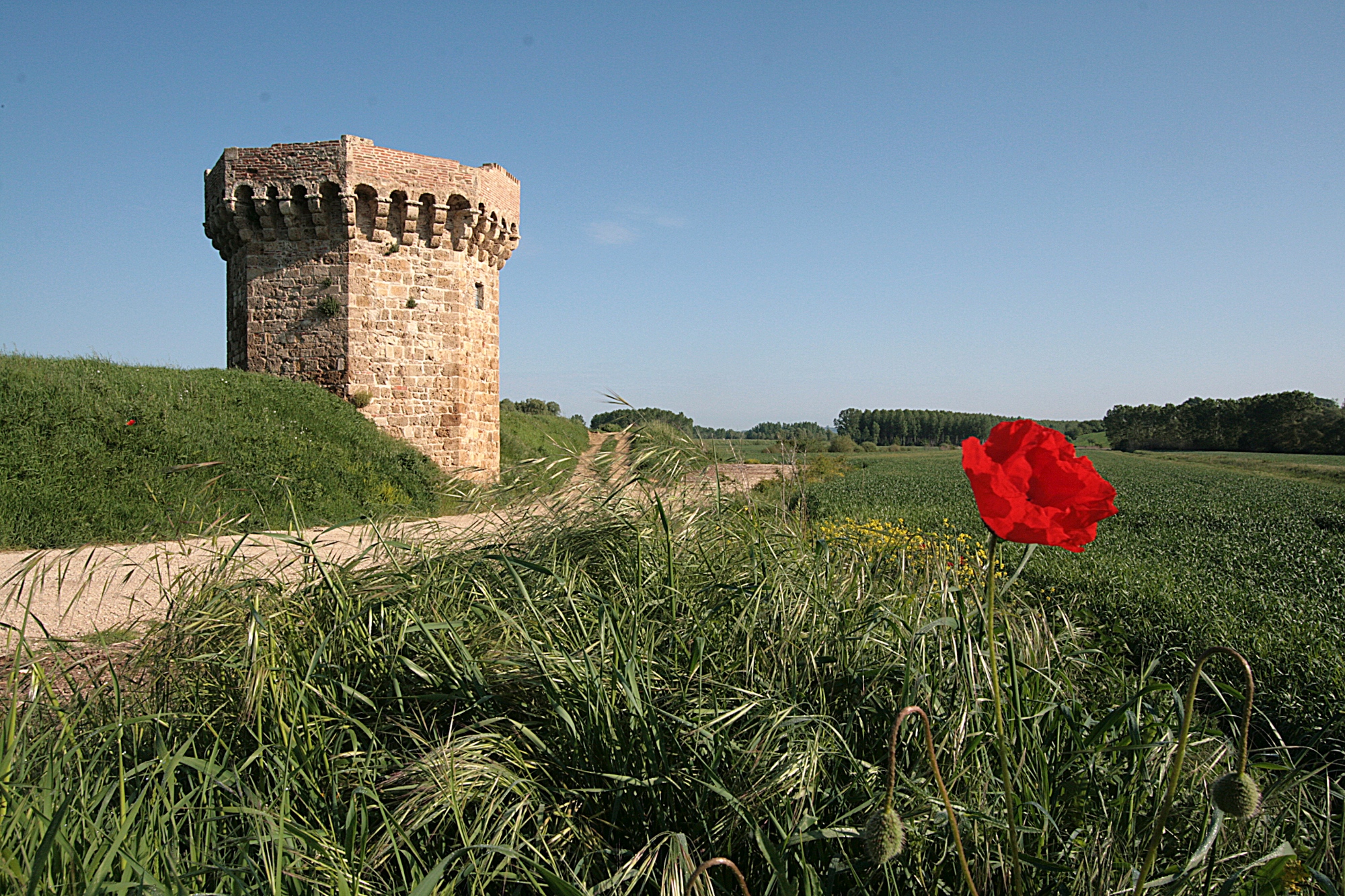 Tower of Beccati Questo, Chiusi