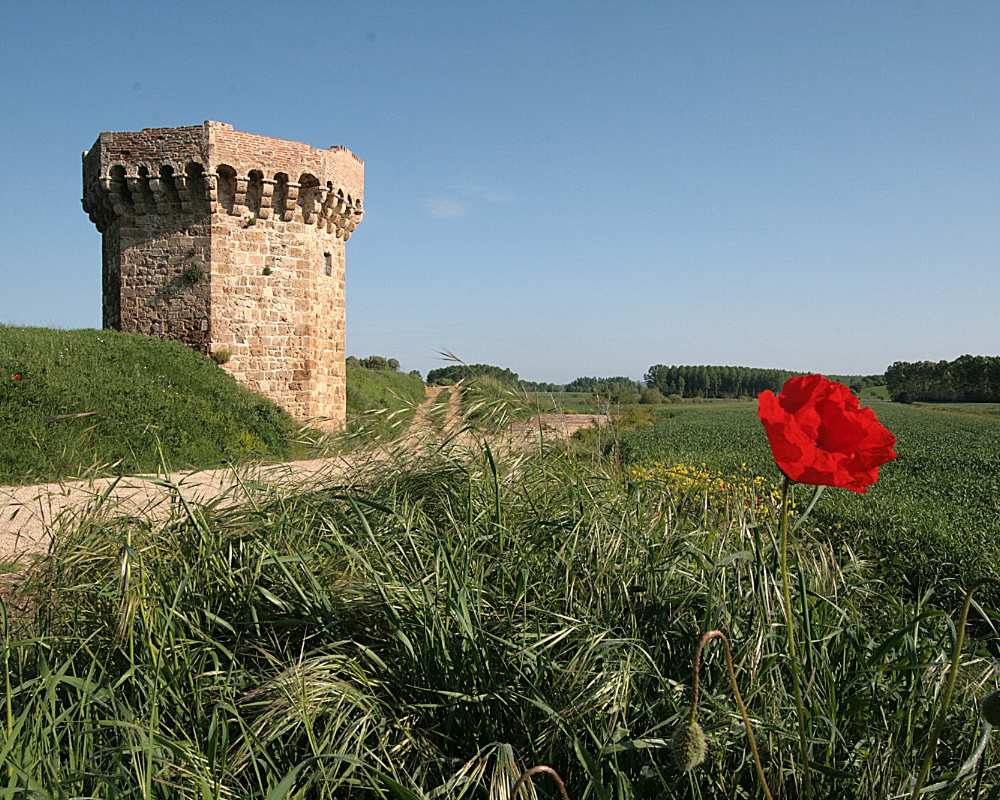 Tower of Beccati Questo, Chiusi