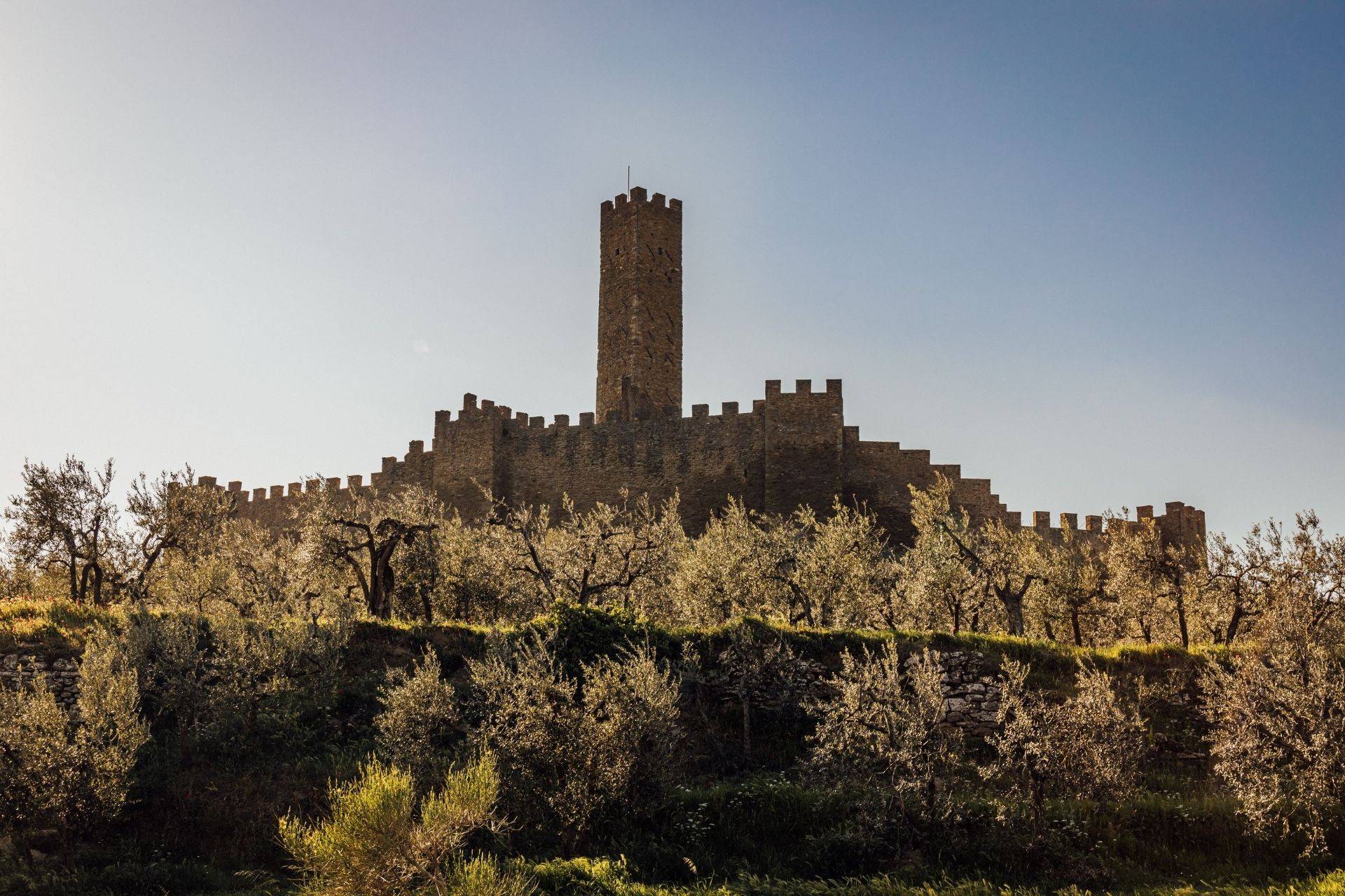 Castle Of Montecchio Vesponi