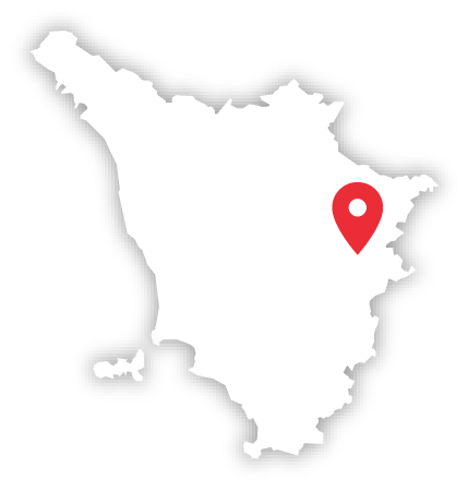 Arezzo area map