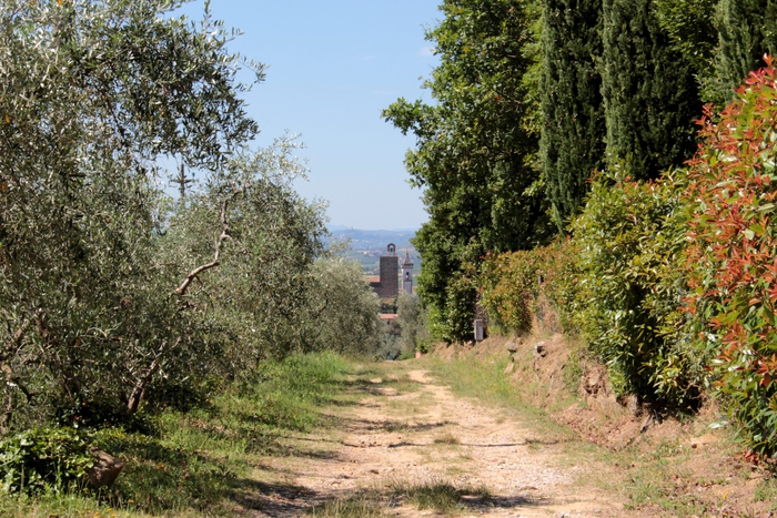 Le chemin Strada Verde vers la maison natale de Léonard de Vinci