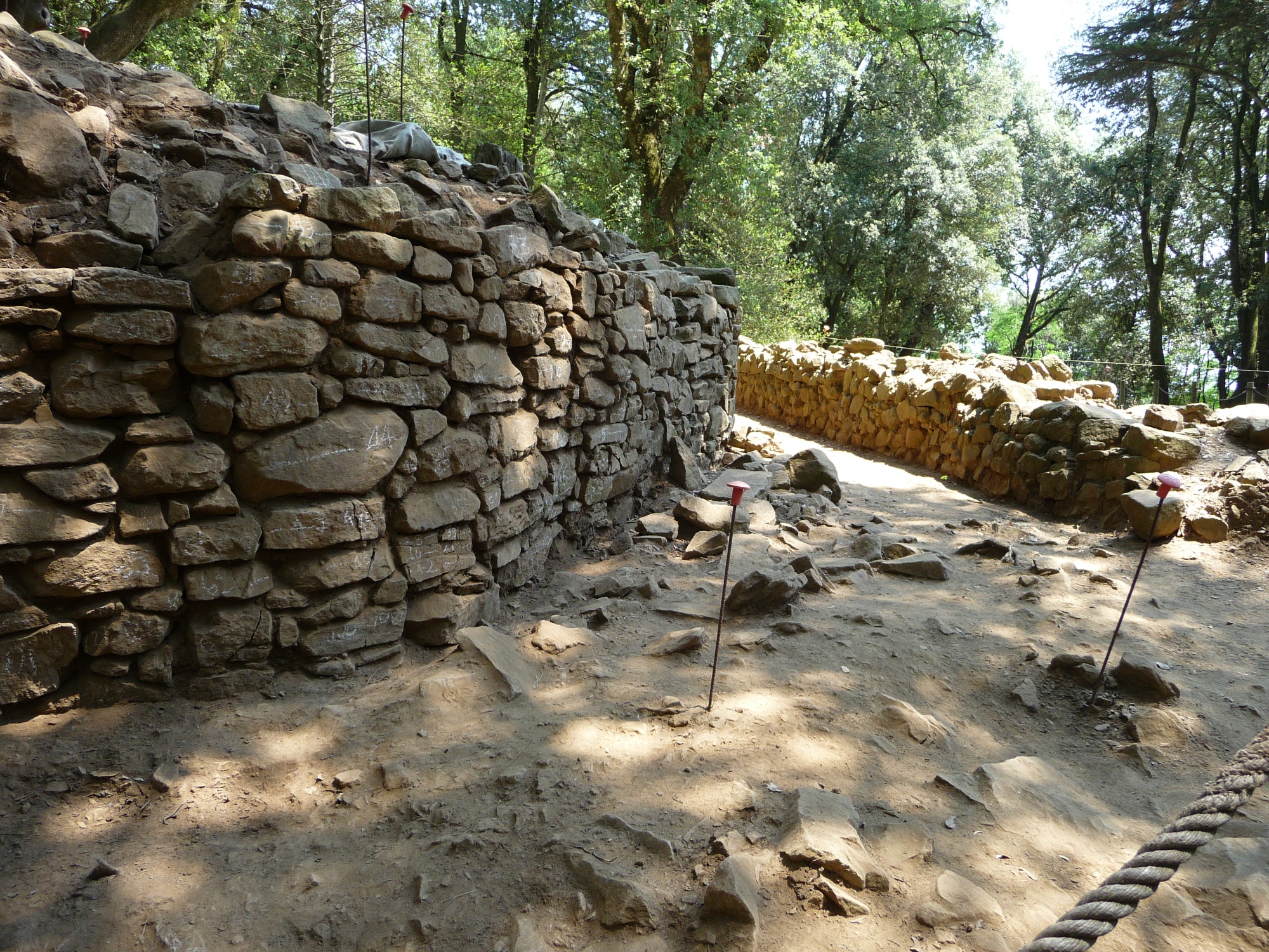 Área arqueológica y natural en Pietramarina