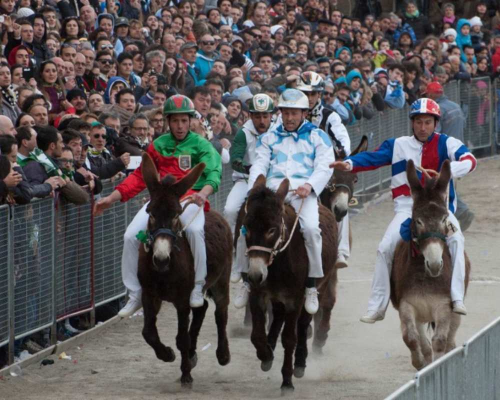 Donkey race, Torrita di Siena