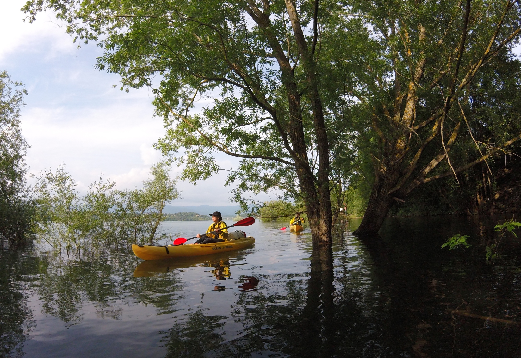 Kayak et SUP sur le lac de Bilancino