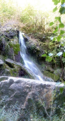 Reserva Natural Monterufoli - Caselli