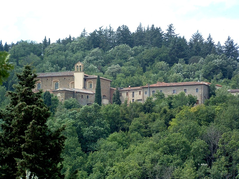 Bosco di Sargiano - Naturschutzgebiet von lokalem Interesse