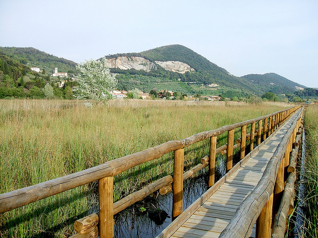 The San Rossore and Massaciuccoli Park