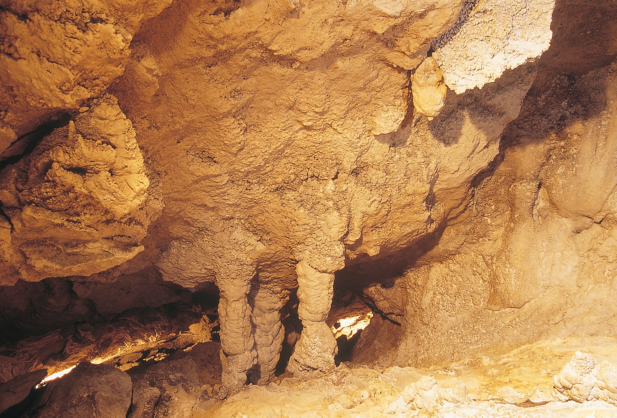 Grotte di Equi Terme, Apuane