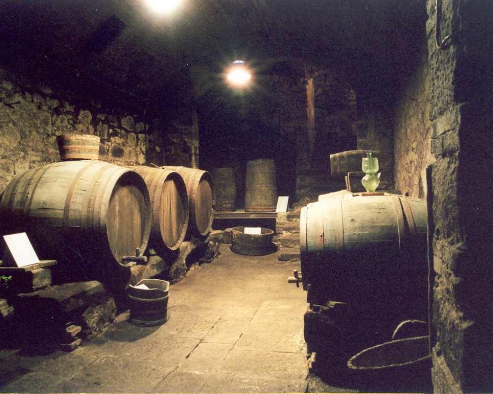 Das Weinmuseum in Roccastrada