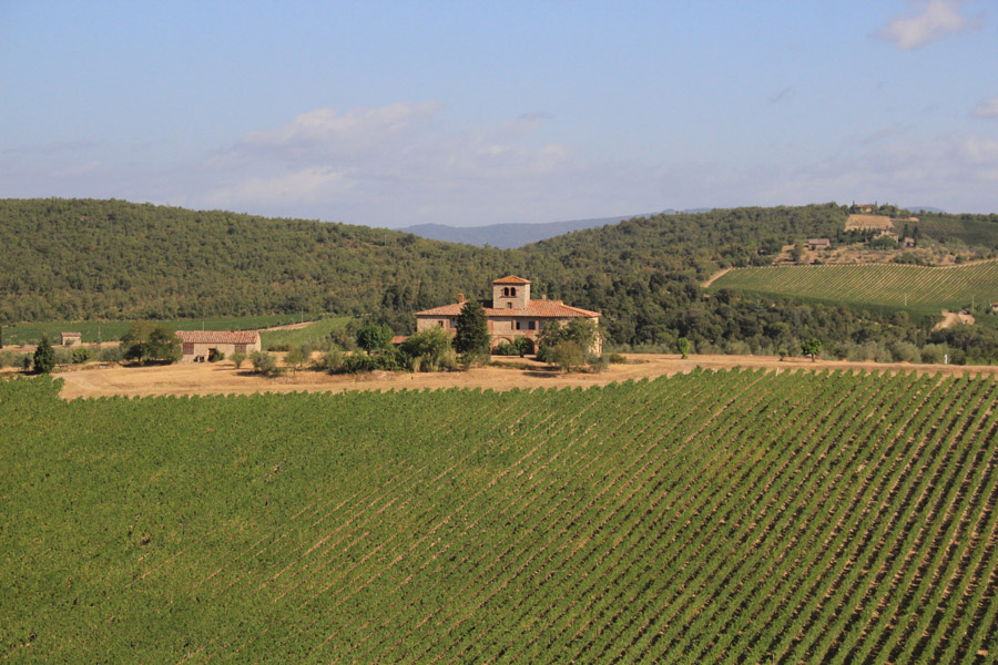 Brolio vineyards, Gaiole in Chianti