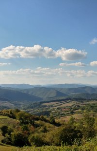 Paisaje de la Vía de los Dioses entre Florencia y Bivigliano