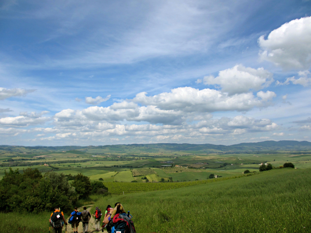 Under the sky in the Val d'Orcia