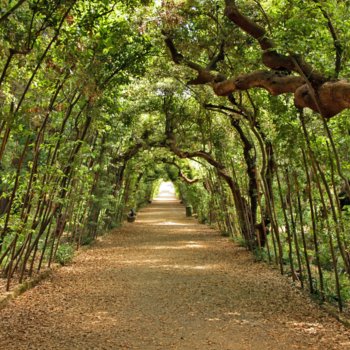 Les tunnels verts des jardins de Boboli