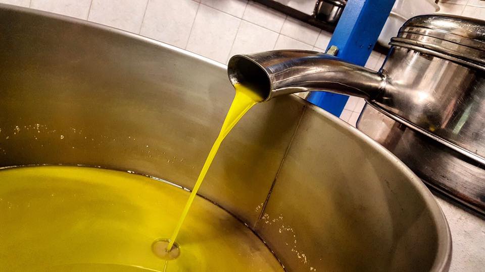 Montemurlo olive oil
