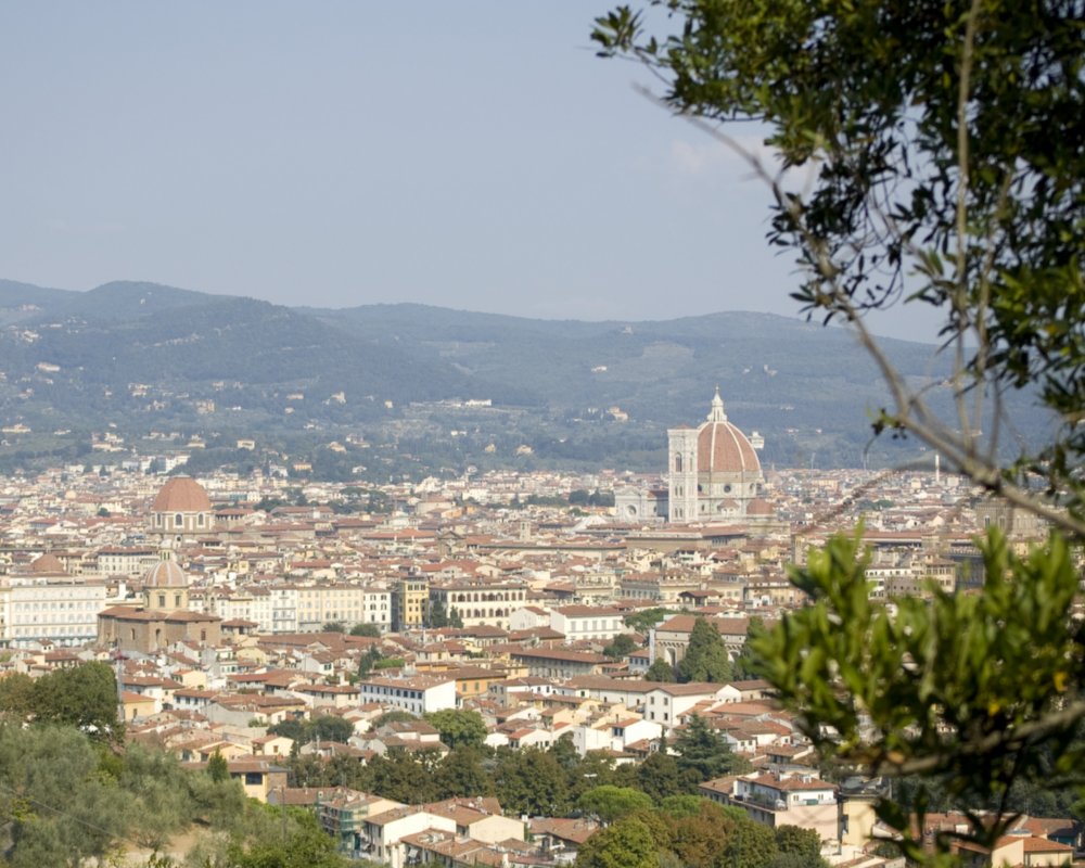 Florence from the Bellosguardo hill