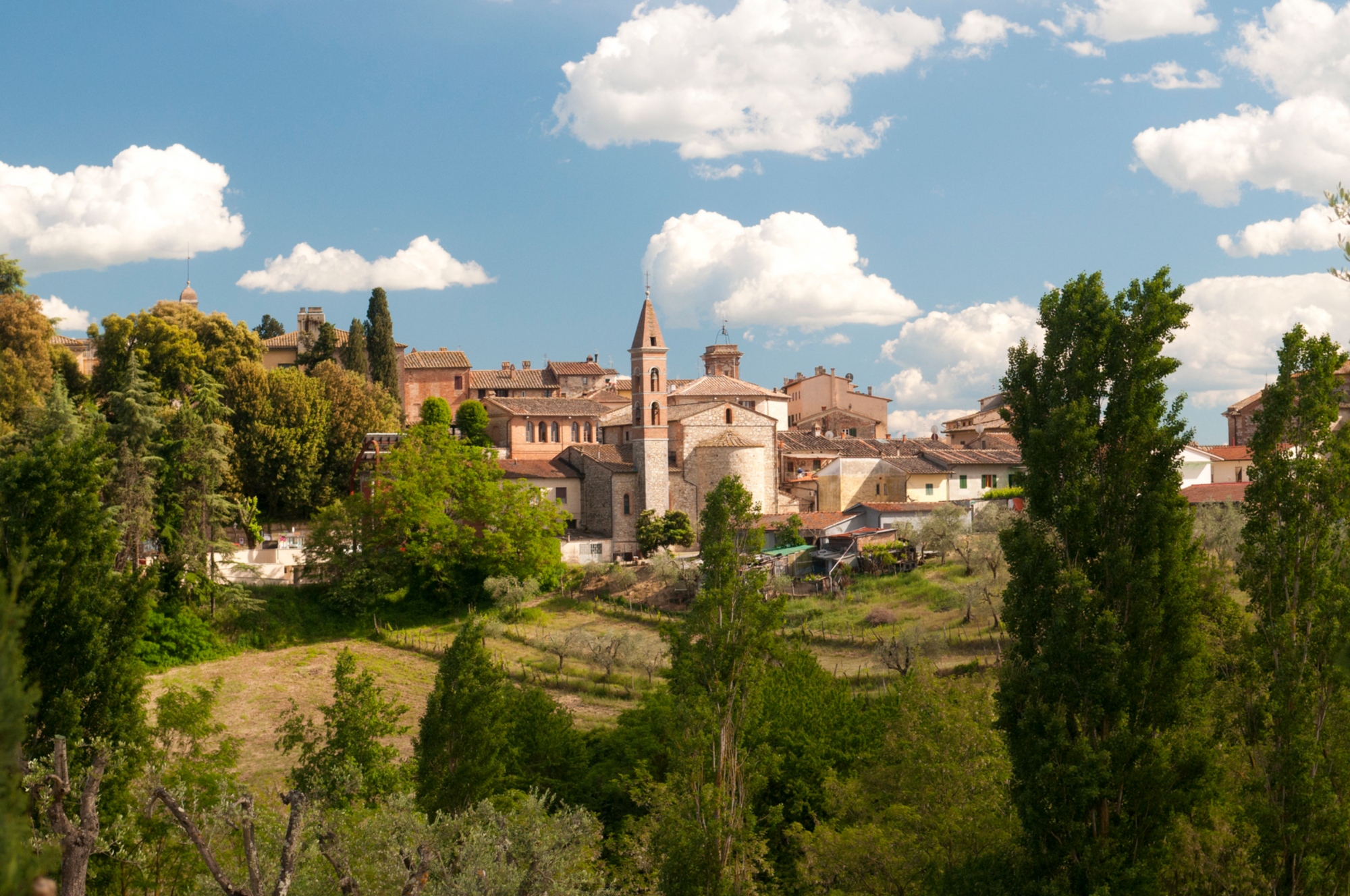 Castelnuovo Berardenga, view