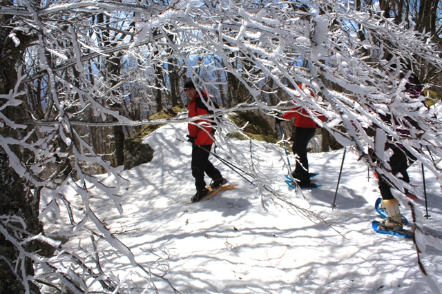 Snowshoeing in the woods on Monte Amiata