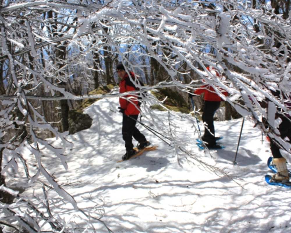Snowshoeing on Monte Amiata