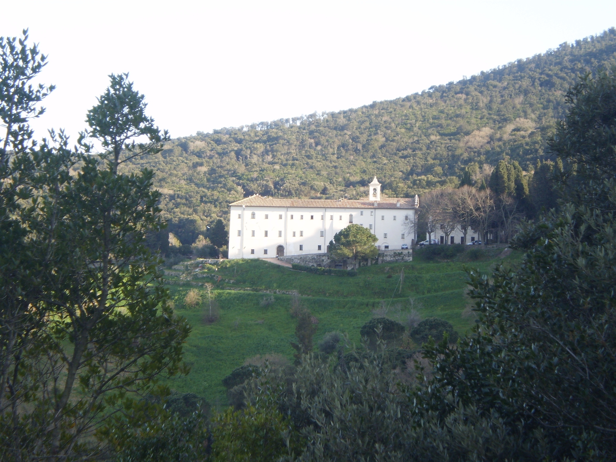 Das mitten im Grünen gelegene Kloster