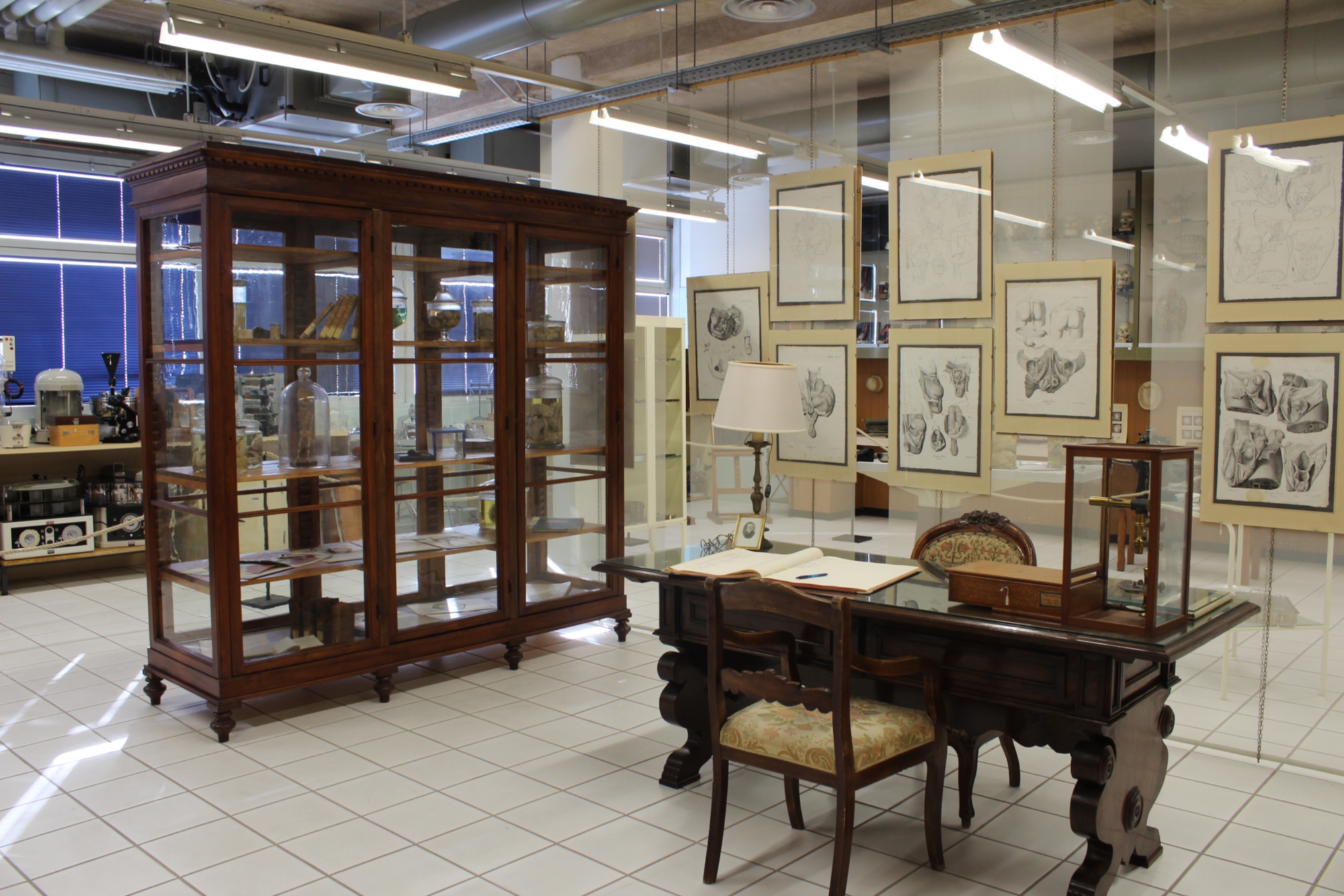 Museo Anatomico Comparini in Siena
