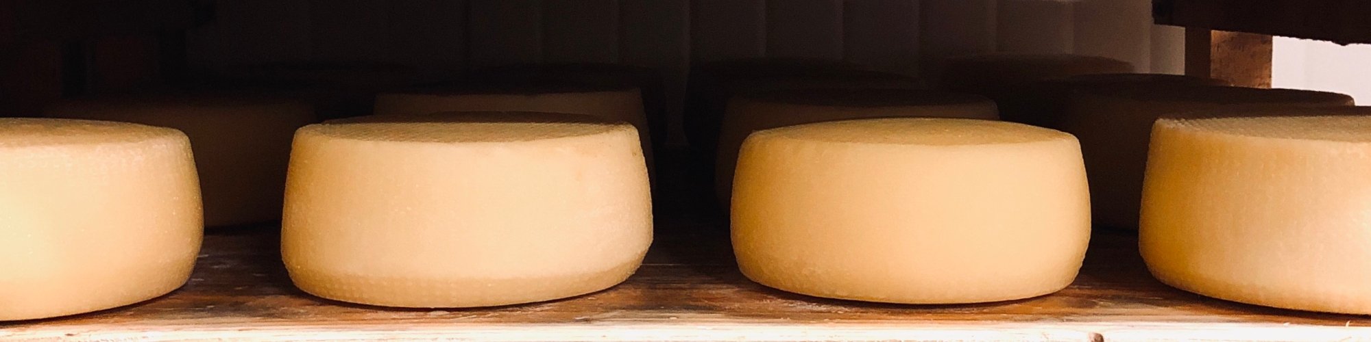 Seasoning cheese in Mugello
