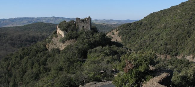 Ruinas del castillo