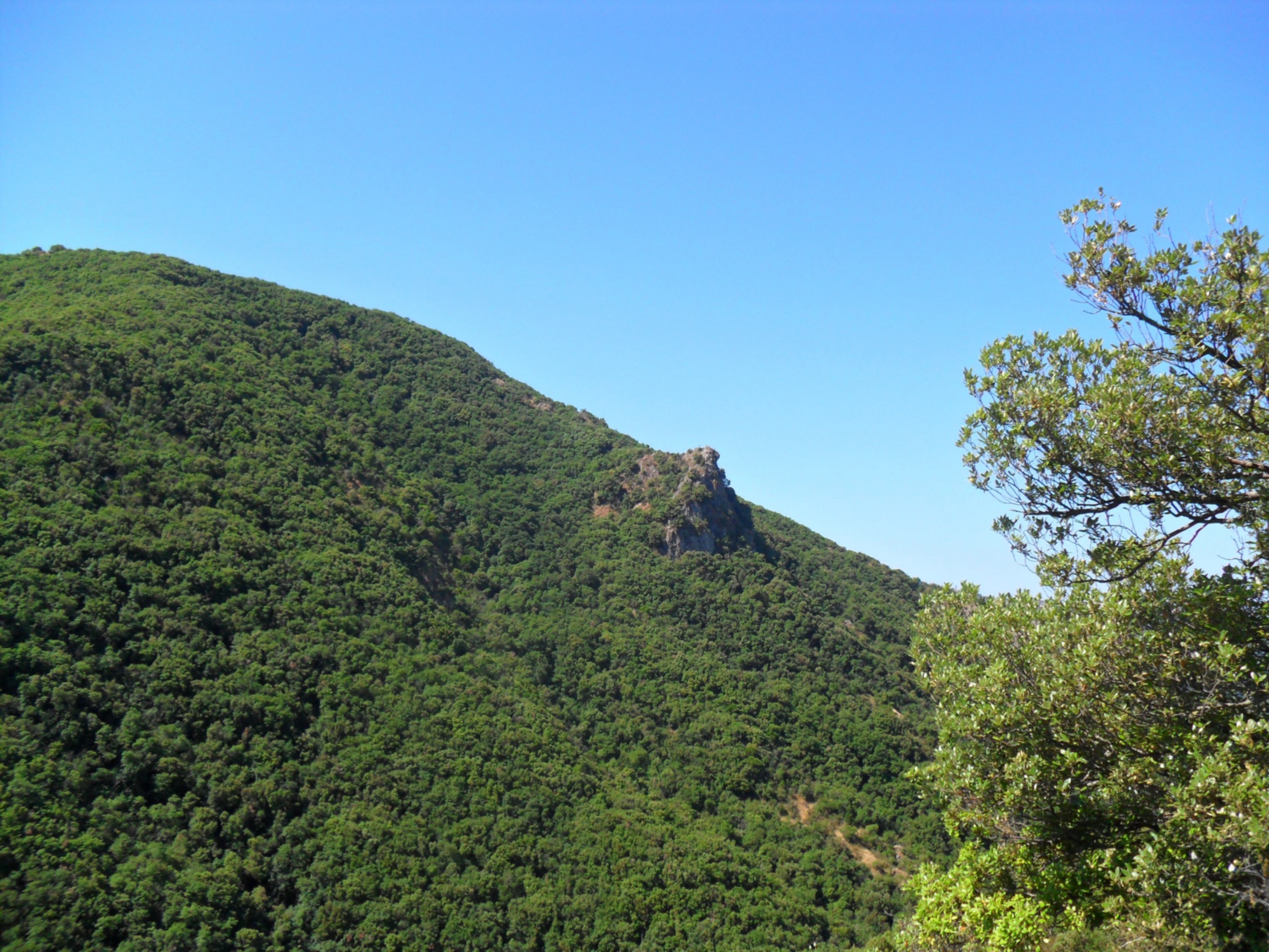 La Reserva Natural Regional de Montenero