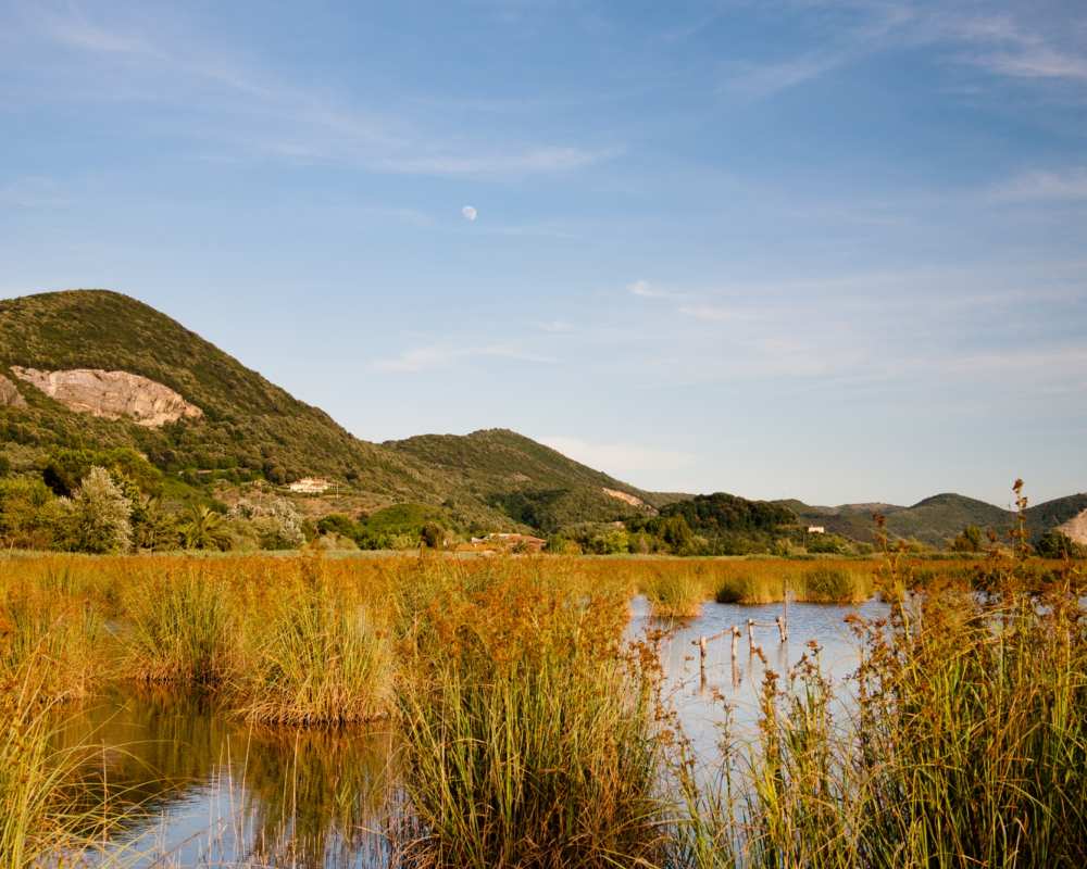 Lake Massaciuccoli in Massarosa