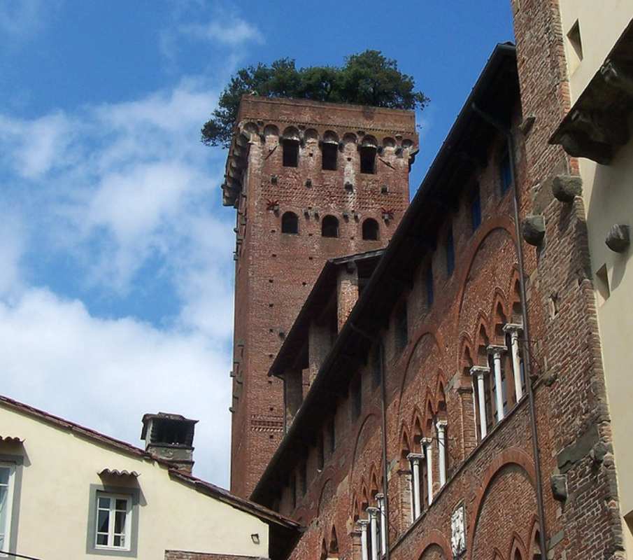 The Guinigi Tower