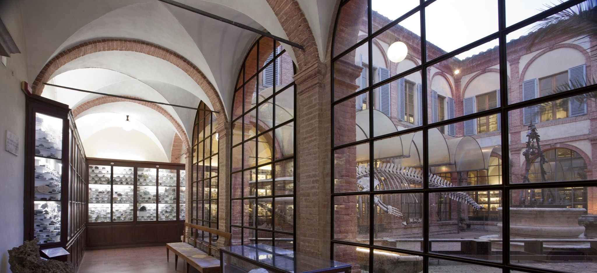 Natural History Museum at the Accademia dei Fisiocritici in Siena