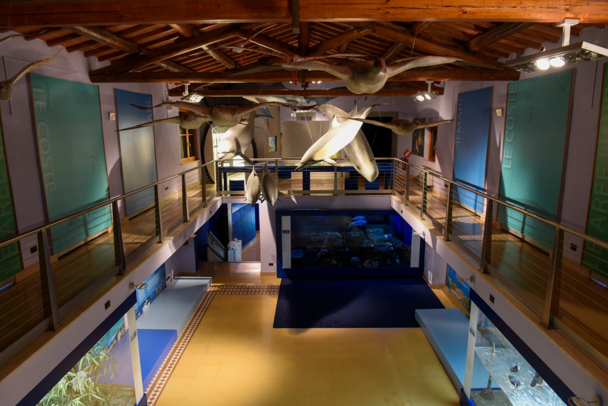 Naturkundemuseum der Maremma